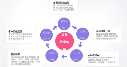無(wú)棣多人拼團(tuán)軟件評(píng)測(cè) 山東良行美業(yè)小程序與信息咨詢服務(wù)的深度解析
