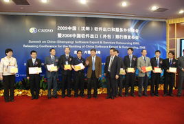2009年中國(guó)沈陽(yáng)軟件出口與服務(wù)外包峰會(huì) 共謀產(chǎn)業(yè)發(fā)展新篇章